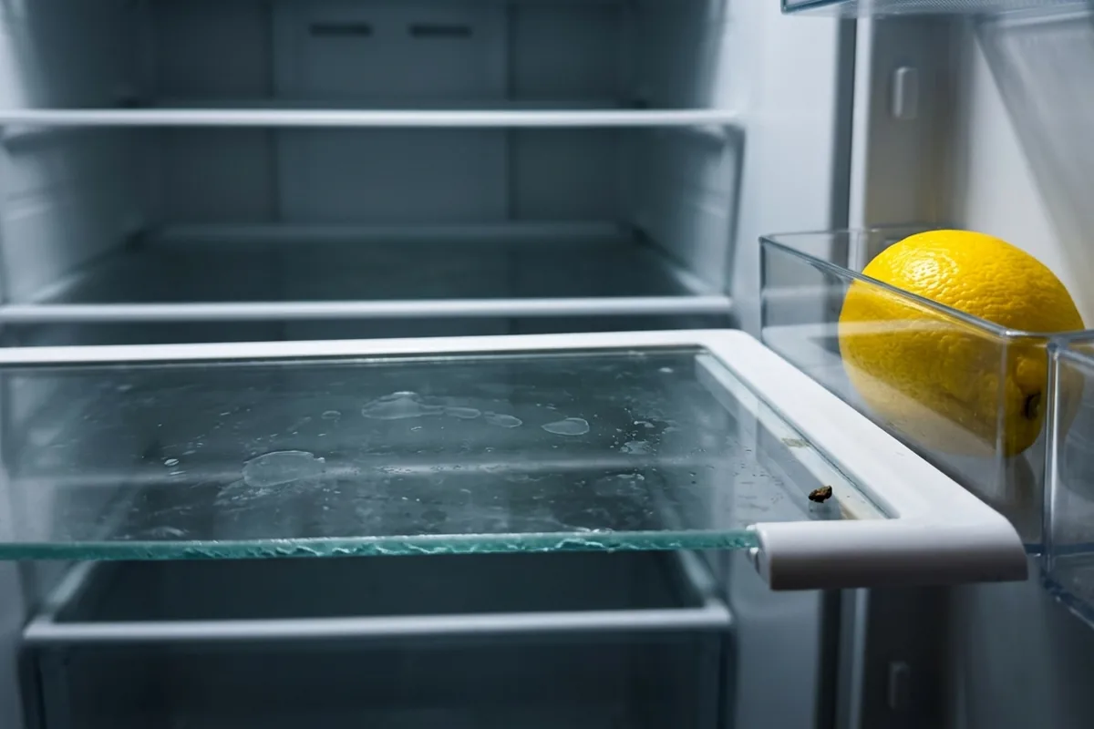 Pusta lodówka po powrocie z wakacji to Twoja największa szansa. Zrób to, zanim ruszysz na zakupy