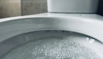 Wlej to do toalety przed snem. Rano po brudnym pierścieniu nie będzie ani śladu!