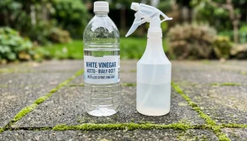 Zapomnij o drogiej chemii. Ten kuchenny produkt za 2 złote przywróci blask Twojemu tarasowi w godzinę